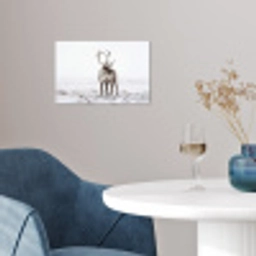Rendier - Gewei - Sneeuw - Winter poster papier klein -sfeer3