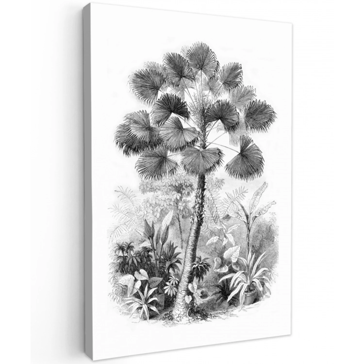 Design - Zwart wit - Natuur canvas 2cm klein -z3d