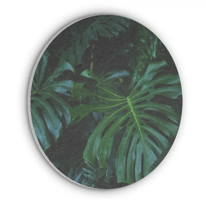 Monstera - Bladeren - Tropical Akoestische PET Vilt - Rond klein -3d