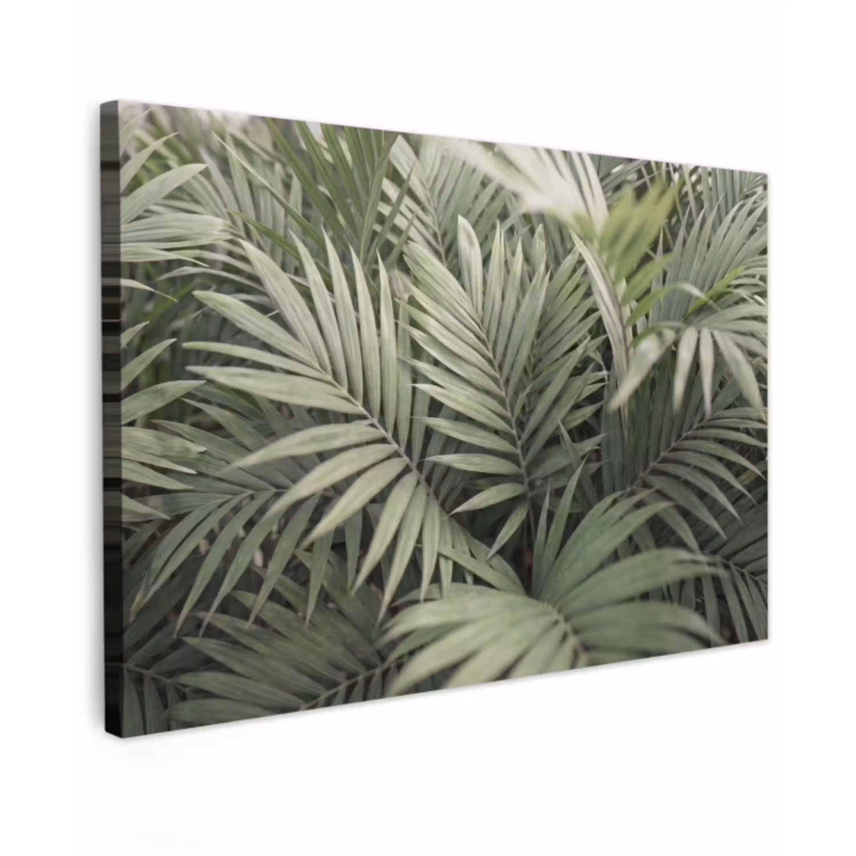 Plant - Palmbladeren - Natuur - Groen Tuinposter op houten frame 2 cm dik klein -3d