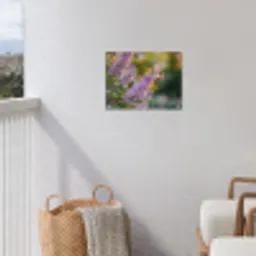Sierlijke - Vlinder - Paarse - Bloemen tuinposter los doek klein -sfeer8