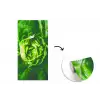 Groente - Sla - Groen fotobehang vinyl groot -3d