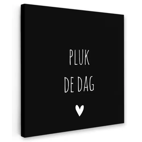 Carpe diem - Spreuken - Pluk de dag - Quotes Tuinposter op houten frame 2 cm dik klein -3d