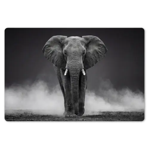 Olifant - Zwart - Wit - Rook Placemat vinyl groot -zzsfeer1_Kitchenyeah-website