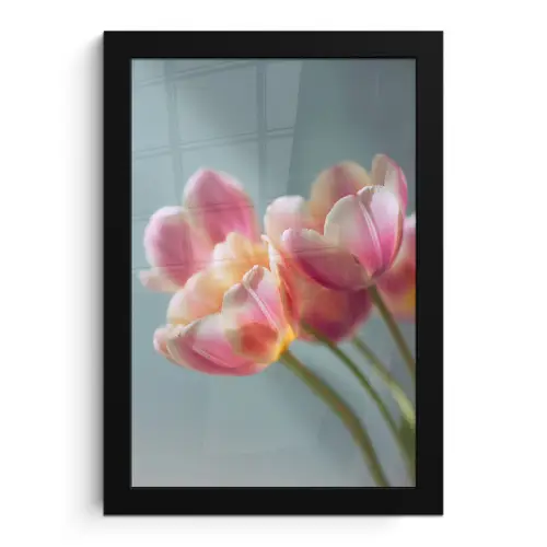 Tulpen - Roze - Stelen fotolijst zwart zonder passe partout klein -3d
