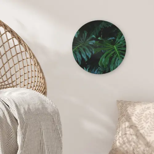 Monstera - Bladeren - Tropisch - Jungle Wandcirkel kunststof plaat 5mm dik klein -sfeer5