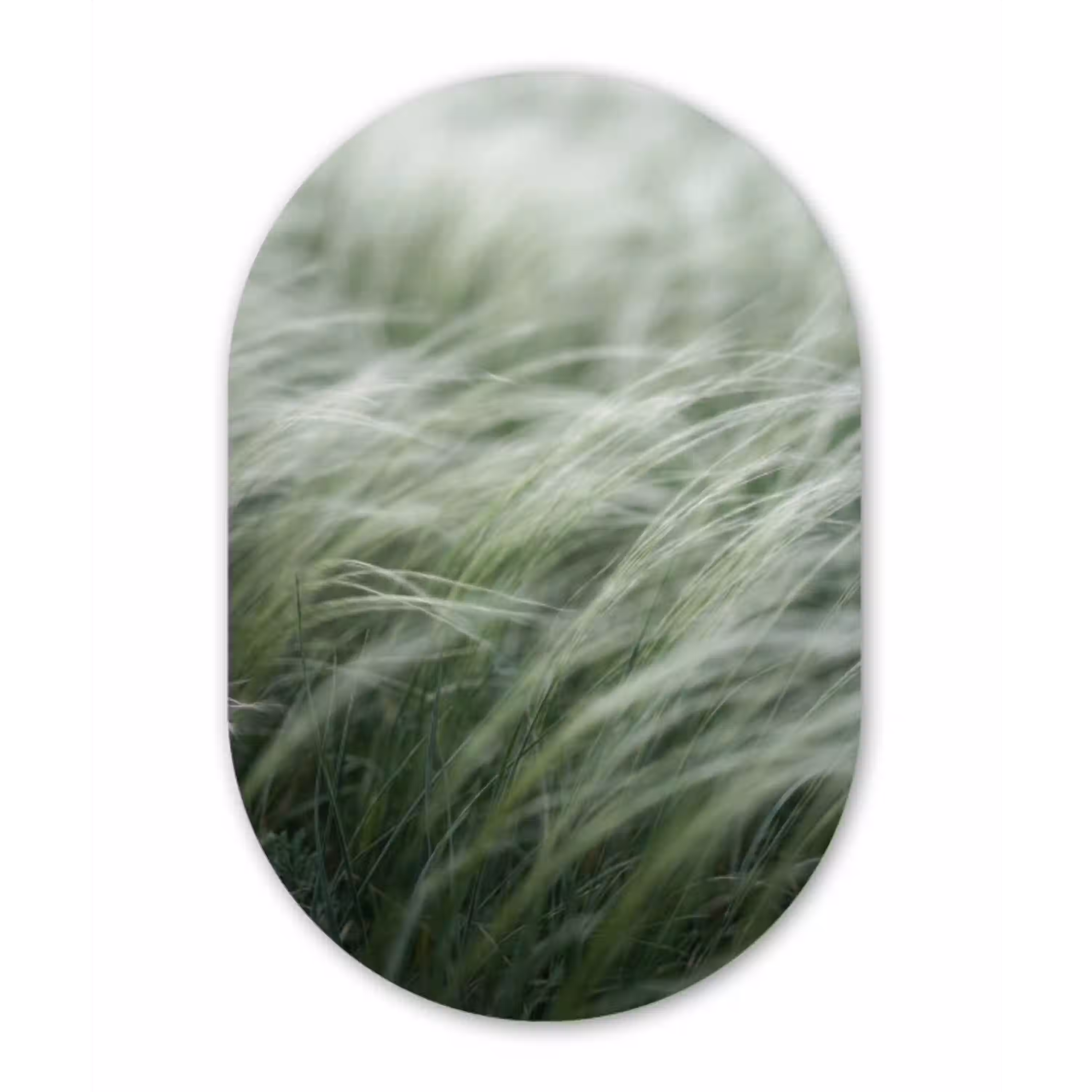 Gras - Wazig - Natuur - Groen - Zacht Wandcirkel Ovaal Aluminium middel -3d