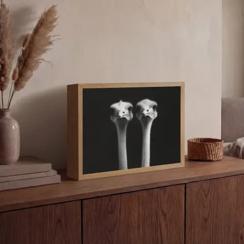 Struisvogels - Halzen - Zwart - Minimalistisch Light Box met batterij (Wandlamp) middel -sfeer2