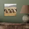 Schapen - Weidenlandschap - Heuvels aluminium wit klein -sfeer2