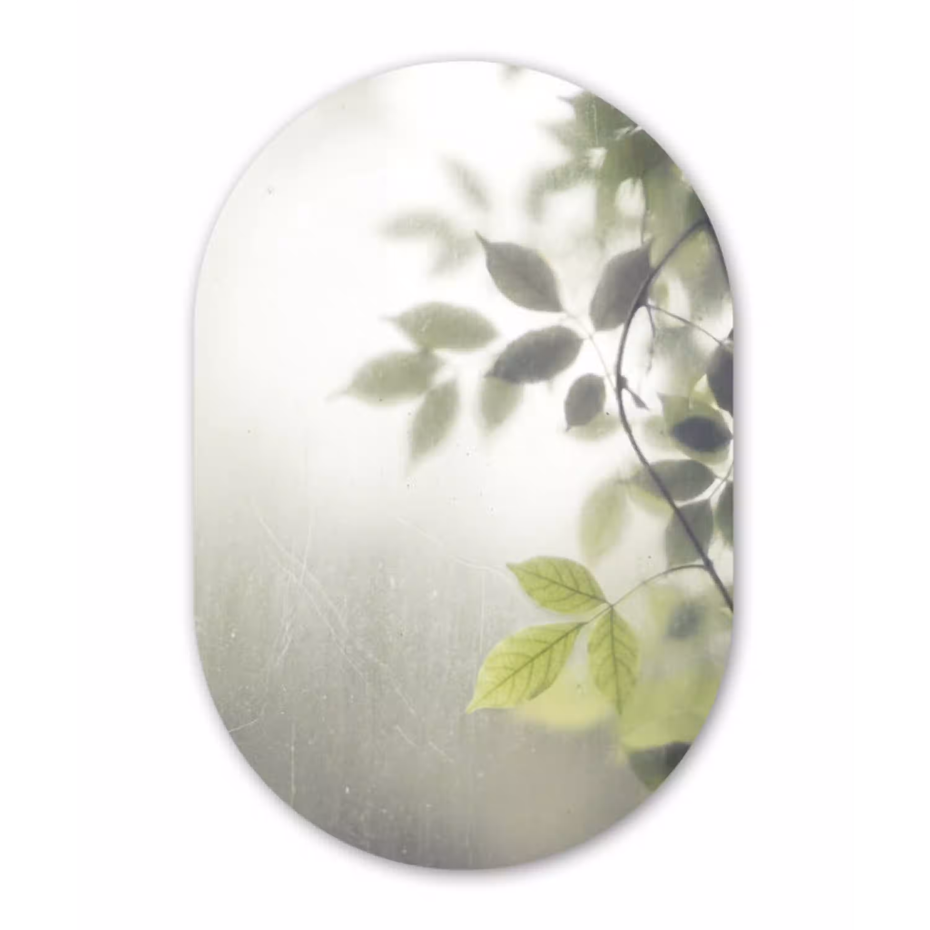 Blad - Schaduw - Natuur - Abstract - Groen Wandcirkel Ovaal Forex klein -3d