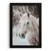 Paard - Wit - Winter - Natuur - Sneeuw - Dieren fotolijst zwart zonder passe partout klein -3d