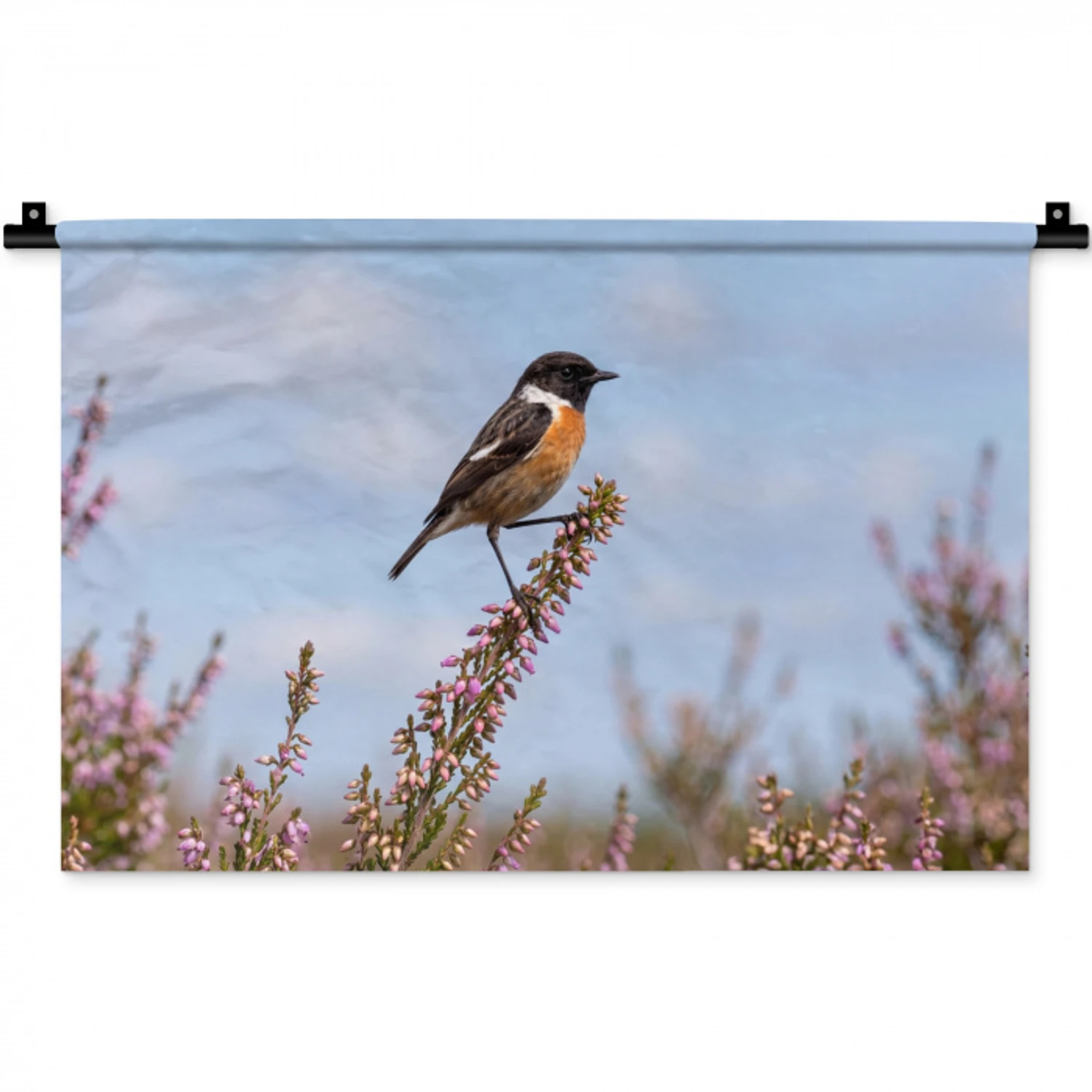 Roodborsttapuit - Heide - Paars - Natuur - Sfeervol Wandkleed katoen klein -zz3d