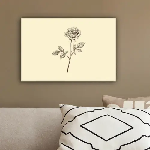 Illustratie - Zwart - Roos canvas 2cm klein -sfeer3