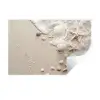 Schelpen - Zeesterren - Strand Muursticker klein -3d