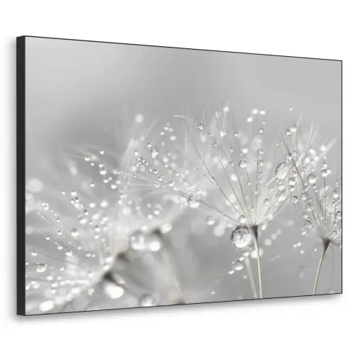 Paardenbloem - Waterdruppels - Stilleven - Modern Textielframe zwart klein -3d