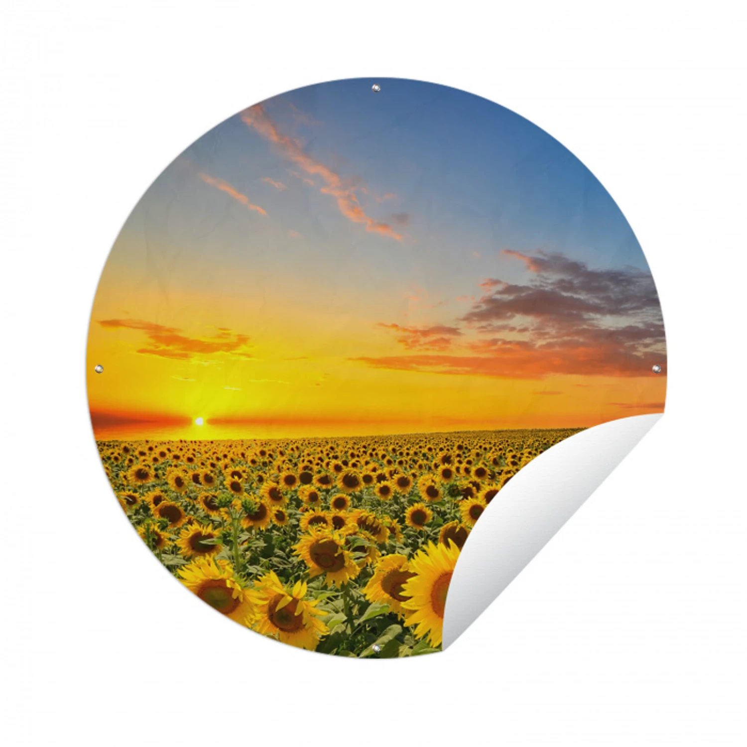Bloemen - Zonnebloem - Zonsondergang - Nacht - Oranje Wandcirkel tuinposter met ringen klein -3d