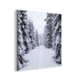Bos - Winter - Sneeuw - Pad - Natuur aluminium wit klein -3d