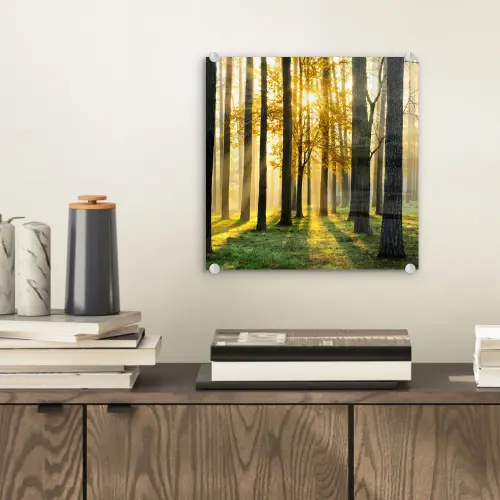 Bos - Zon - Bomen - Gras - Landschap  - Natuur plexiglas 5mm klein -sfeer1