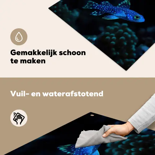 Vis - Stippen - Koraal - Blauw Inductie beschemer met haakjes middel -ky-schoon-nl
