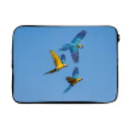 Papagaai - Vliegen - Blauw - Geel laptophoes neopreen klein -3d