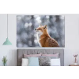 Vos - Sneeuwval - Portret - Winter - Sfeervol forex 5mm xxl -slaapkamer