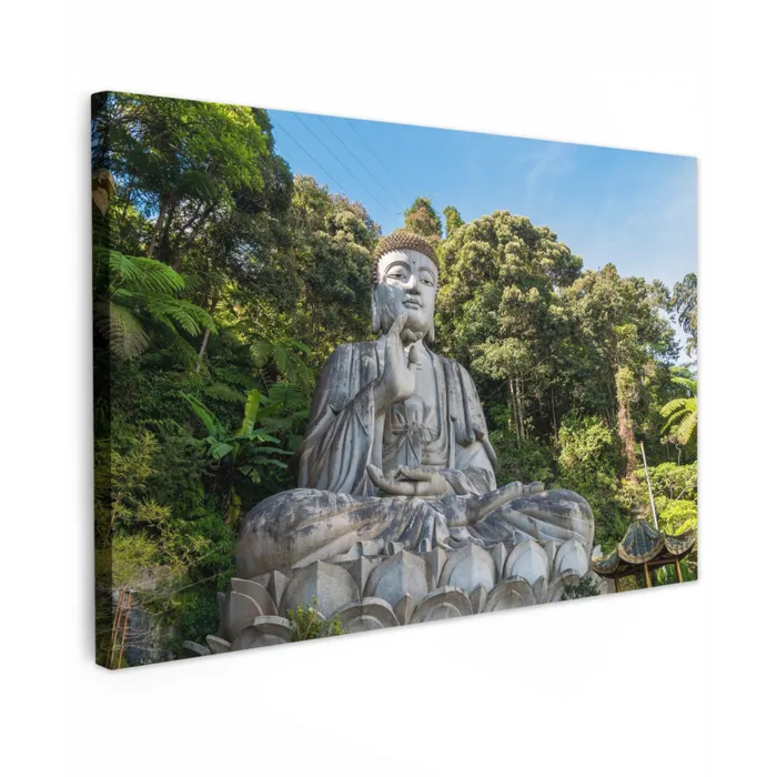 Boeddha beelden - Jungle - Buddha - Spiritualiteit - Mediteren canvas 2cm klein -z3d