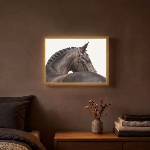 Portret - Paard - Elegant Light Box met batterij (Wandlamp) middel -sfeer4