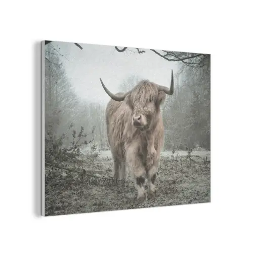 Schotse hooglander - Natuur - Herfst - Dieren - Wild - Bos PET vilt klein -3d
