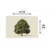 Eikenboom - Groen - Lichte achtergrond Placemat vinyl groot -specs