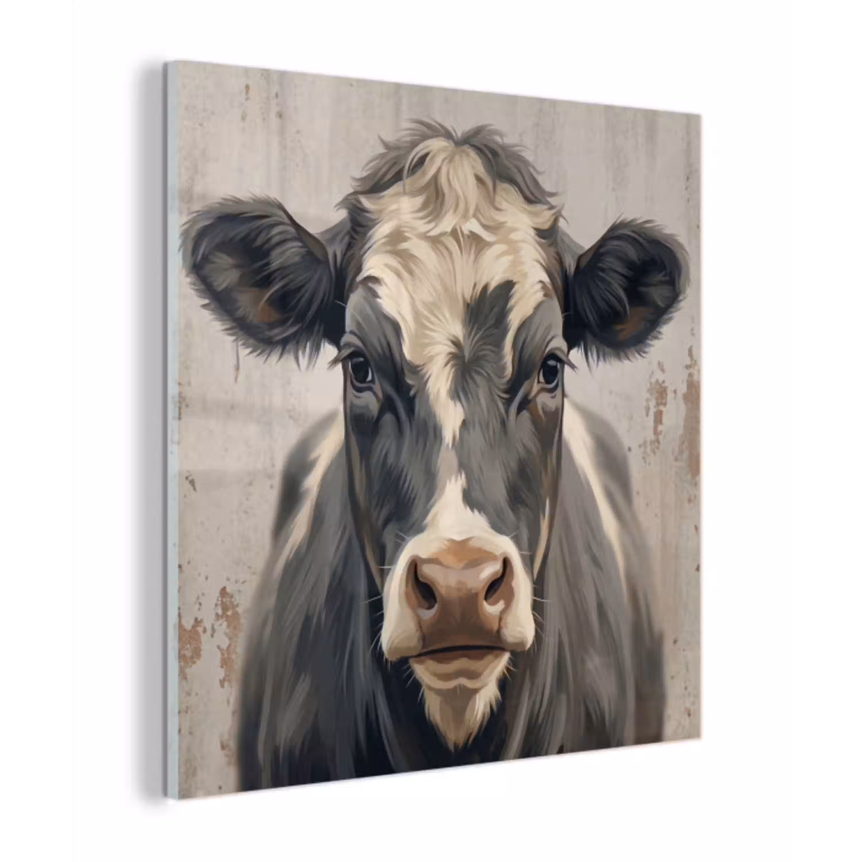 Koe - Portret - Dieren - Modern plexiglas 5mm klein -z3d