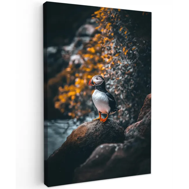 Papegaai - Vogel - Rots - Wit Tuinposter op houten frame 2 cm dik klein -3d