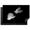 Nachtelijke Orchidee Elegance Inductie beschermer vinyl 3mm klein -3d