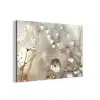 Natuur - Bloemen - Druppels - Regen aluminium wit klein -3d