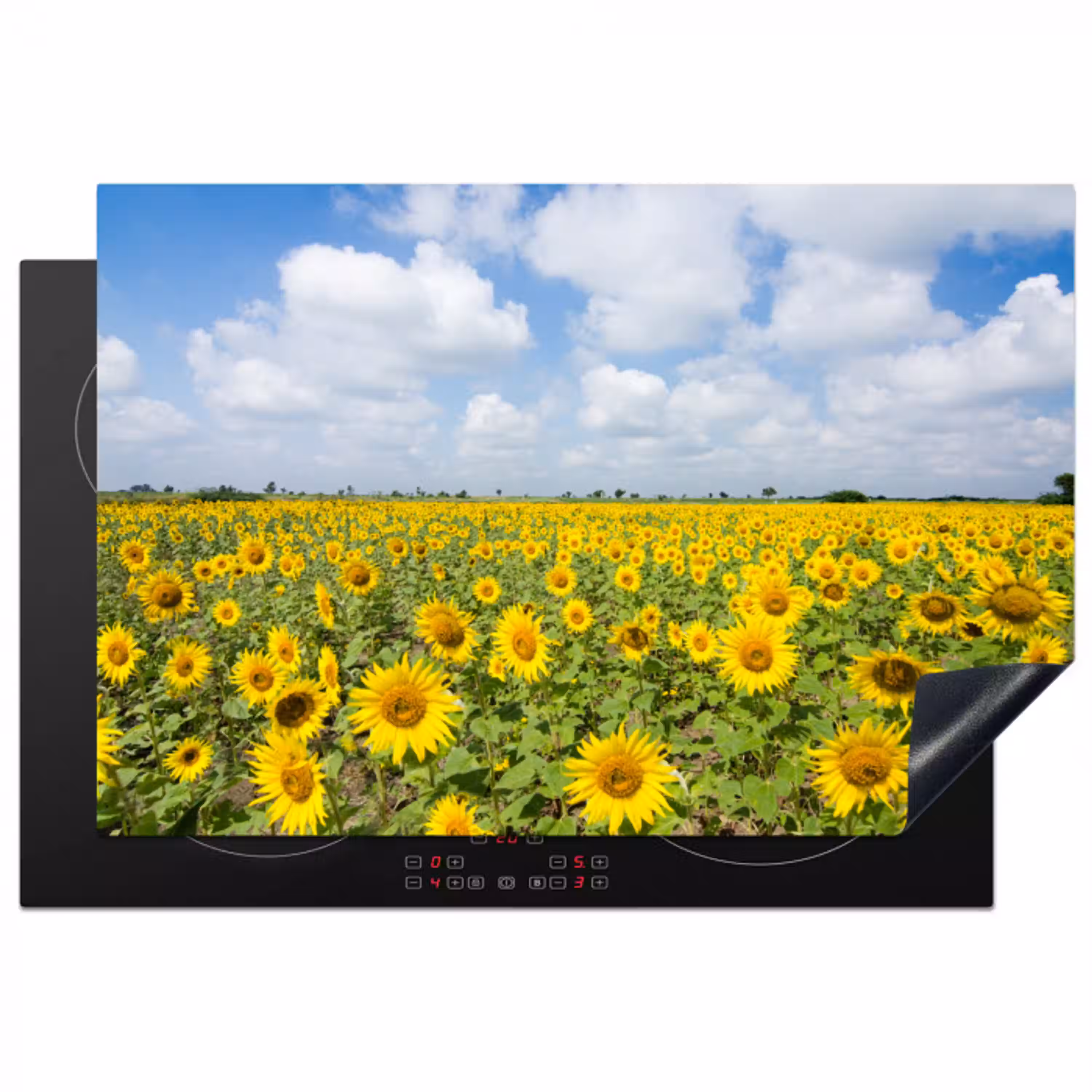 Zonnebloemen - Bloemen - Wolken - Natuur - Geel - Landschap Inductie beschermer vinyl 3mm klein -3d
