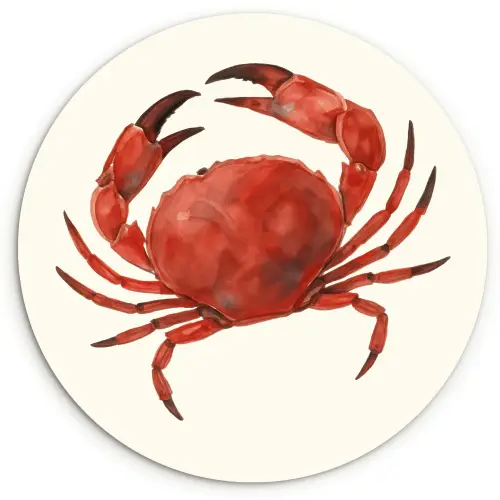 Krab - Felrood - Poten Wandcirkel kunststof plaat 5mm dik klein -3d