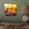 Hert - Dieren - Zonsondergang - Winter - Heide - Natuur plexiglas 5mm klein -sfeer3
