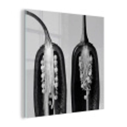 Pepers - Zwart - Wit - Zaadlijsten plexiglas 5mm klein -z3d