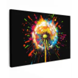 Paardenbloem - Graffiti - Kleurrijk - Bloemen - Natuur canvas 2cm klein -z3d
