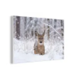 Hert - Sneeuw - Bos - Dieren - Vertederend forex 5mm xxl -3d