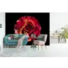 Bloem - Roos - Rood - Zwart fotobehang vinyl groot -bank