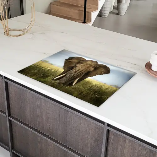 Olifant - Natuur - Gras - Dieren - Landschap Inductie beschermer vinyl 3mm klein -sfeer8
