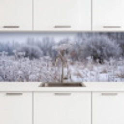 Schermbloem - Rijp - Kristallen - Winter - Delicaat keuken achterwand 2 middel -3d
