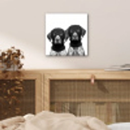 Honden - Bivakmuts - Zwart - wit aluminium wit klein -sfeer3