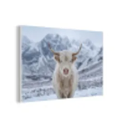 Schotse Hooglander - Sneeuw - Bergen - Winter forex 5mm xxl -3d