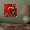 Close up - Bloem - Quote - Rood plexiglas 5mm klein -sfeer3