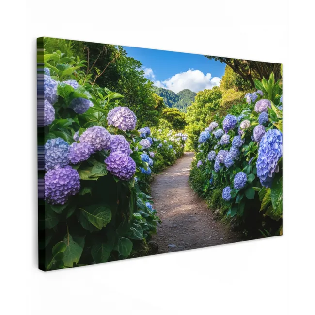 Outdoor Canvas Print - Hortsensia - Toad - Flowers
