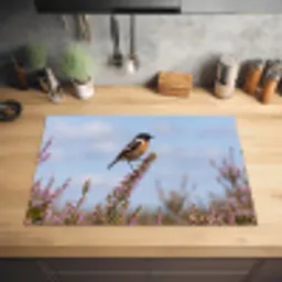 Roodborsttapuit - Heide - Paars - Natuur - Sfeervol Inductie beschermer vinyl 3mm klein -sfeer5