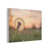 Paardenbloem - Zonsondergang - Veld PET vilt klein -3d