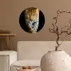 Luipaard - Dieren - Portret - Wilde dieren - Zwart Wandcirkel behangsticker klein -sfeer1