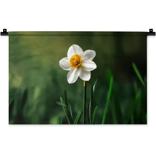 Narcis - Bloem - Wit - Grassprieten Wandkleed katoen klein -zz3d